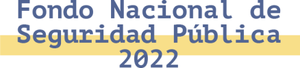 web fnsp 2022-12